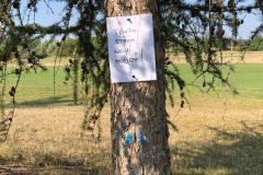 big_-img_2576-k